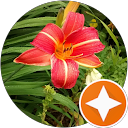 Home 3 Josephine Roche profile picture